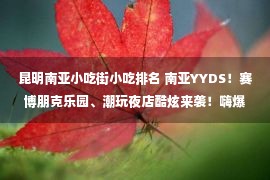 昆明南亚小吃街小吃排名 南亚YYDS！赛博朋克乐园、潮玩夜店酷炫来袭！嗨爆夜晚！