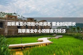 昆明南亚小吃街小吃排名 营业时间延长 昆明商业中心挖掘夜市经济