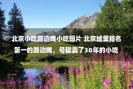 北京小吃路边摊小吃图片 北京城里排名第一的路边摊，号称卖了30年的小吃