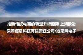 推动传统电商的转型升级趋势 上海欧冶采购信息科技有限责任公司:冶采购电子商务平台助力传统制造企业“互联网+ 采购”转型升级