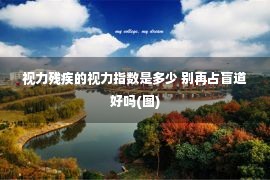 视力残疾的视力指数是多少 别再占盲道好吗(图)