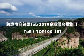 跨境电商跨境tob 2019企业服务案例（ToB）TOP100（51