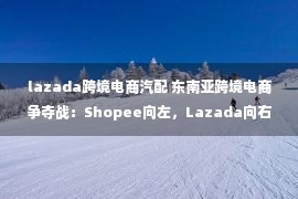 lazada跨境电商汽配 东南亚跨境电商争夺战：Shopee向左，Lazada向右