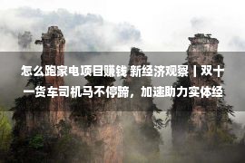 怎么跑家电项目赚钱 新经济观察丨双十一货车司机马不停蹄，加速助力实体经济“跑”得更远更快