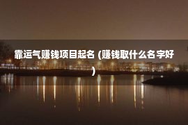 靠运气赚钱项目起名 (赚钱取什么名字好)