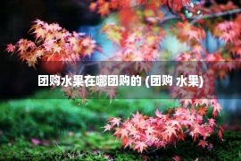 团购水果在哪团购的 (团购 水果)