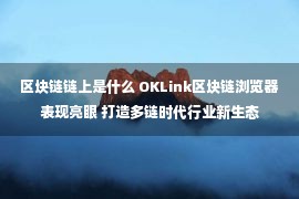 区块链链上是什么 OKLink区块链浏览器表现亮眼 打造多链时代行业新生态