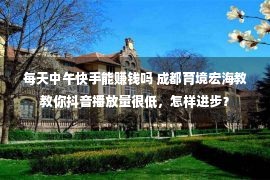 每天中午快手能赚钱吗 成都育境宏海教教你抖音播放量很低，怎样进步？