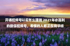 开通视频号以后怎么赚钱 2021年必赢利的微信视频号，看懂的人都正在提早结构