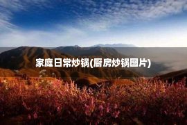 家庭日常炒锅(厨房炒锅图片)