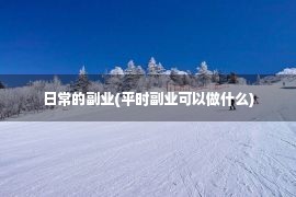 日常的副业(平时副业可以做什么)