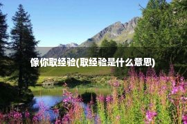 像你取经验(取经验是什么意思)