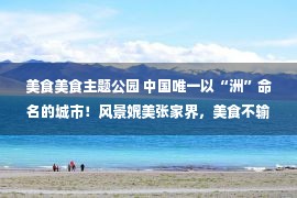 美食美食主题公园 中国唯一以“洲”命名的城市！风景媲美张家界，美食不输长沙，你去过吗？