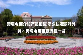 跨境电商介绍产品回复 怎么快速做好外贸？跨境电商宝藏流程一览