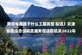 跨境电商属于什么工程类型 标讯）天津东疆综合保税区商务促进局机关2022年跨境电商集中查