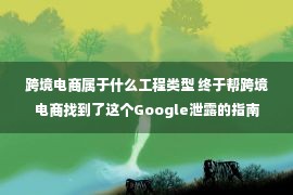 跨境电商属于什么工程类型 终于帮跨境电商找到了这个Google泄露的指南