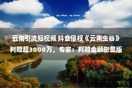 云南引流短视频 抖音侵权《云南虫谷》判赔超3000万，专家：判赔金额彰显版权保护力度