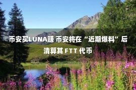 币安买LUNA赚 币安将在“近期爆料”后清算其 FTT 代币