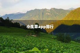 小生意app排行