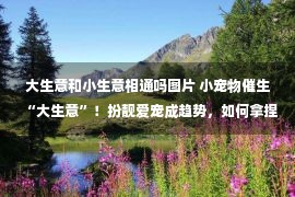 大生意和小生意相通吗图片 小宠物催生“大生意”！扮靓爱宠成趋势，如何拿捏“铲屎官”？