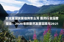 创业展望发展趋势怎么写 医药行业深度报告：2020年创新药发展回顾与2021年展望