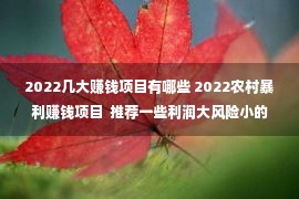 2022几大赚钱项目有哪些 2022农村暴利赚钱项目  推荐一些利润大风险小的