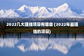 2022几大赚钱项目有哪些 (2022年最赚钱的项目)