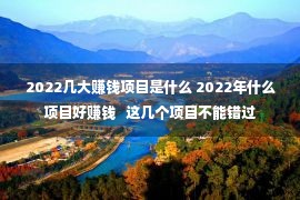 2022几大赚钱项目是什么 2022年什么项目好赚钱   这几个项目不能错过