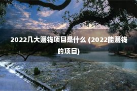 2022几大赚钱项目是什么 (2022能赚钱的项目)