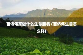 苗侨伟家做什么生意赚钱 (苗侨伟生意怎么样)