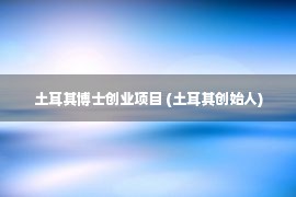 土耳其博士创业项目 (土耳其创始人)