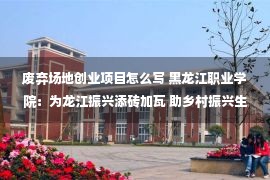 废弃场地创业项目怎么写 黑龙江职业学院：为龙江振兴添砖加瓦 助乡村振兴生态新貌