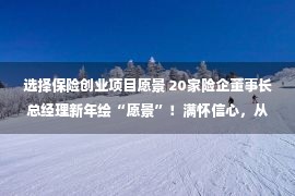 选择保险创业项目愿景 20家险企董事长总经理新年绘“愿景”！满怀信心，从容应对！