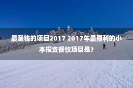 最赚钱的项目2017 2017年最赢利的小本投资餐饮项目是？