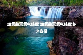 加氢装置氢气纯度 加氢装置氢气纯度多少合格