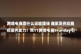 跨境电商靠什么运输赚钱 商家及供应商招募齐发力！双11跨境电商Starday引爆海内墟市！