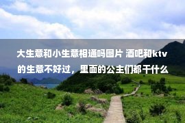 大生意和小生意相通吗图片 酒吧和ktv的生意不好过，里面的公主们都干什么去了呢