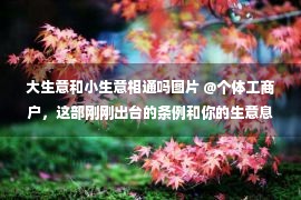 大生意和小生意相通吗图片 @个体工商户，这部刚刚出台的条例和你的生意息息相关！