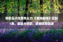 辞职后小生意怎么办 《那海那海》仅剩1集，雷德水辞职，欧赫结局圆满