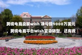 跨境电商卖家wish 净亏损9000万美元，跨境电商平台Wish紧急转型，还有救吗？