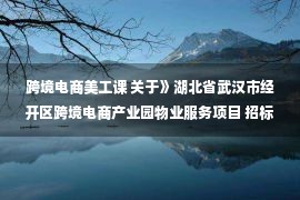 跨境电商美工课 关于》湖北省武汉市经开区跨境电商产业园物业服务项目 招标公告