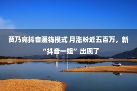 贾乃亮抖音赚钱模式 月涨粉近五百万，新“抖音一姐”出现了