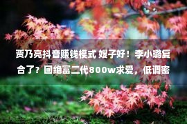 贾乃亮抖音赚钱模式 嫂子好！李小璐复合了？回绝富二代800w求爱，低调密会贾乃亮？