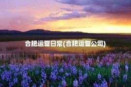 合肥运营日常(合肥运营公司)