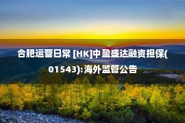 合肥运营日常 [HK]中盈盛达融资担保(01543):海外监管公告