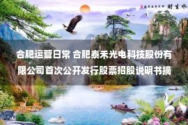 合肥运营日常 合肥泰禾光电科技股份有限公司首次公开发行股票招股说明书摘要