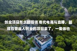 创业项目怎么能赚钱 庖代电商与直播，最顺应普遍人创业的项目来了，一集体也能赚大钱