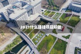 2021什么赚钱项目好做