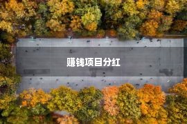 赚钱项目分红