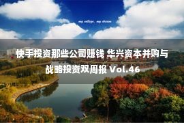 快手投资那些公司赚钱 华兴资本并购与战略投资双周报 Vol.46